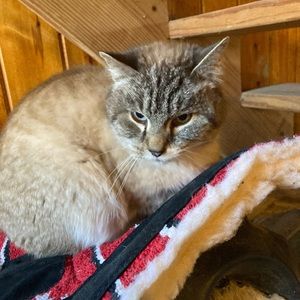 Meet your Posher, Paige